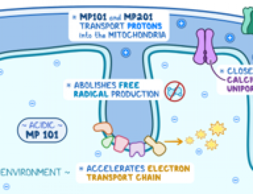 Restoring mitochondrial bioenergetics following repeated mild blast-induced TBI